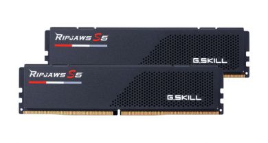 64GB G.Skill F5-5600J2834F32GX2-RS5K DDR5  (2x 32 GB) Arbeitsspeicher 