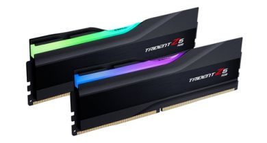 64GB G.Skill F5-5600J3036D16GX2-TZ5RS DDR5 5600 MHz (2x 32 GB) Arbeitsspeicher 