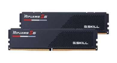 48GB G.Skill F5-6800J3446F24GX2-RS5K DDR5 6800 MHz (2x 24 GB) Arbeitsspeicher 