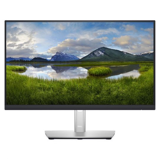 54,61cm (21,5") Dell P2222H FullHD Monitor 