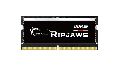 16GB G.Skill F5-5600S4645A16GX1-RS DDR5 5600 MHz (1x 16 GB) Arbeitsspeicher