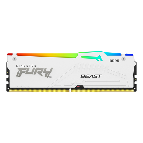 32GB Kingston Beast RGB DDR5 5600 MHz (1x 32 GB) Arbeitsspeicher 