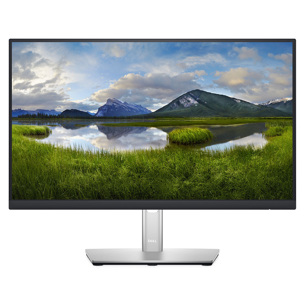 54,61cm (21,5") Dell P2222H FullHD Monitor 